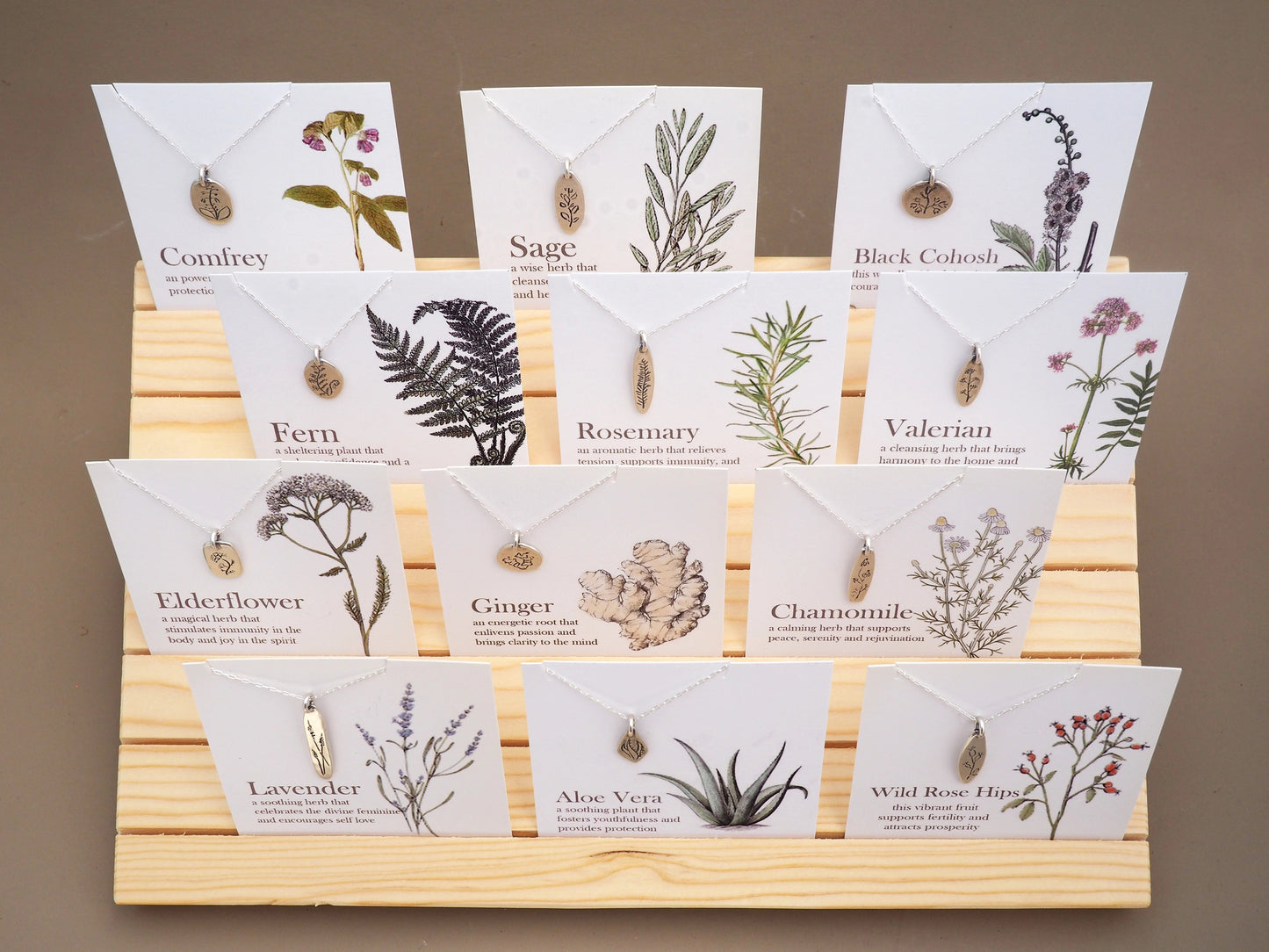 Botanical Amulets - Aloe