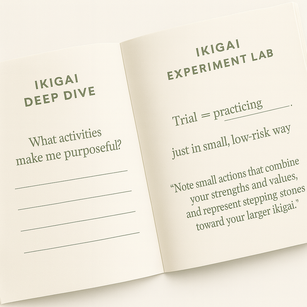 Find Your Purpose Journal (Ikigai Workbook Printable PDF): Values, Energy Audit, Experiments & Career Alignment