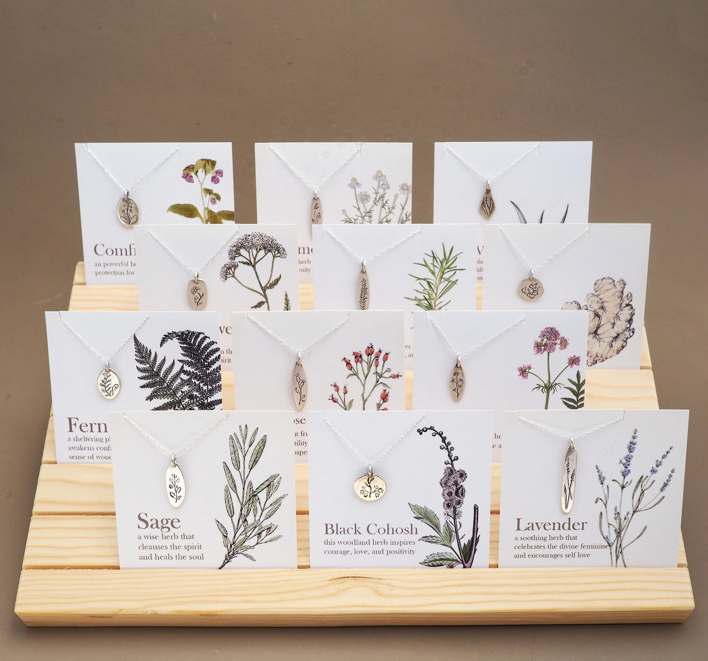 Botanical Amulets - Aloe