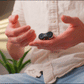 ONO Fidget Roller